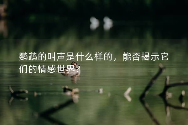 鹦鹉的叫声是什么样的，能否揭示它们的情感世界？