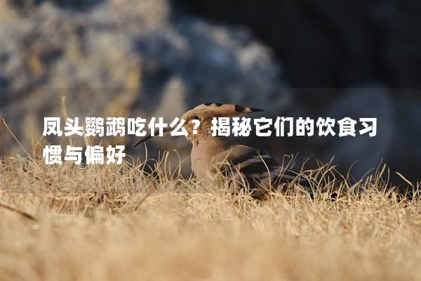 凤头鹦鹉吃什么？揭秘它们的饮食习惯与偏好