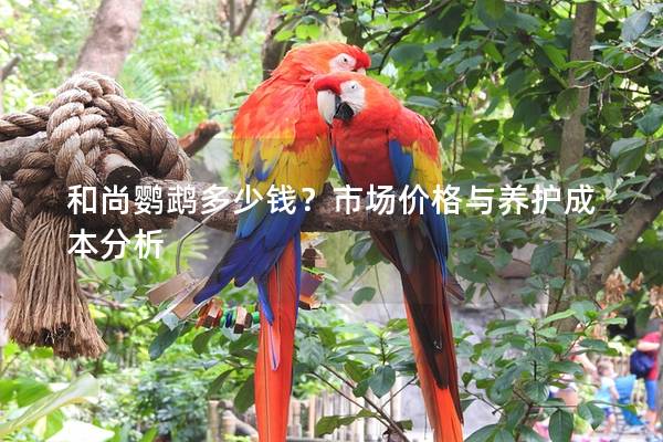 和尚鹦鹉多少钱？市场价格与养护成本分析