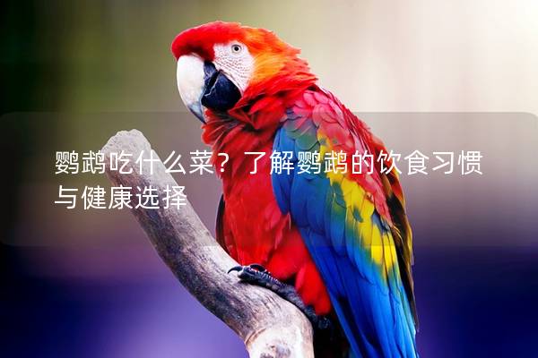 鹦鹉吃什么菜？了解鹦鹉的饮食习惯与健康选择