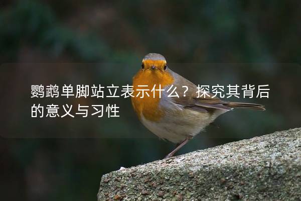 鹦鹉单脚站立表示什么？探究其背后的意义与习性
