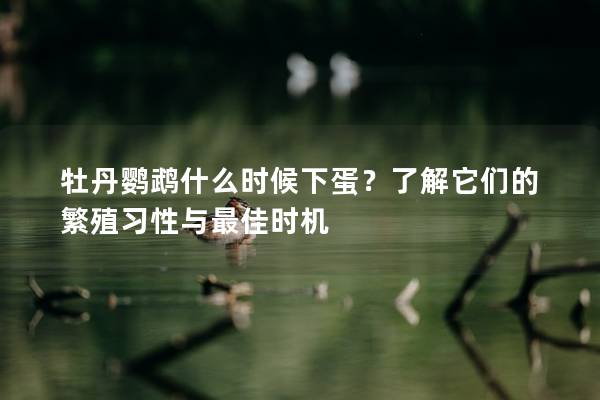 牡丹鹦鹉什么时候下蛋？了解它们的繁殖习性与最佳时机