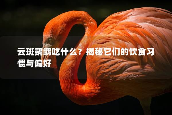 云斑鹦鹉吃什么？揭秘它们的饮食习惯与偏好