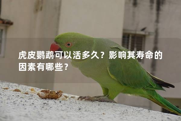 虎皮鹦鹉可以活多久？影响其寿命的因素有哪些？