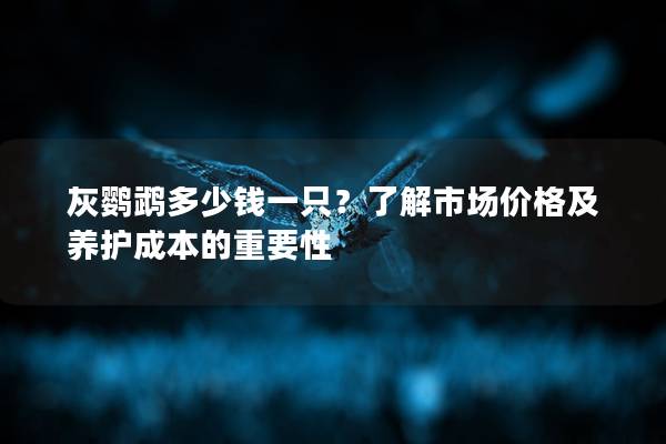 灰鹦鹉多少钱一只？了解市场价格及养护成本的重要性