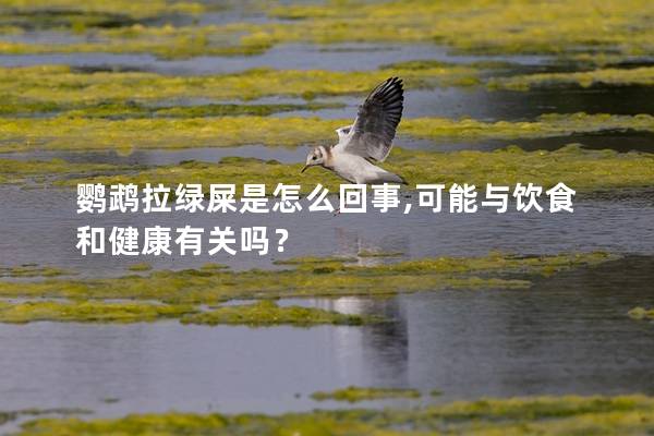 鹦鹉拉绿屎是怎么回事,可能与饮食和健康有关吗？