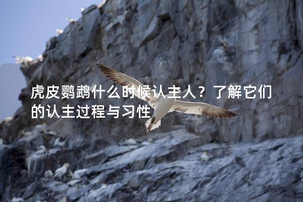 虎皮鹦鹉什么时候认主人？了解它们的认主过程与习性