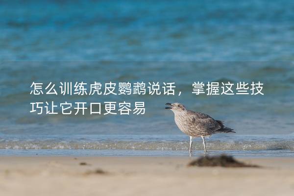 怎么训练虎皮鹦鹉说话，掌握这些技巧让它开口更容易