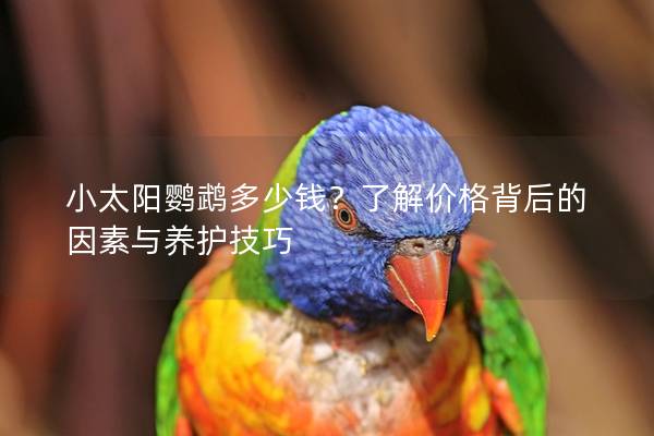 小太阳鹦鹉多少钱？了解价格背后的因素与养护技巧