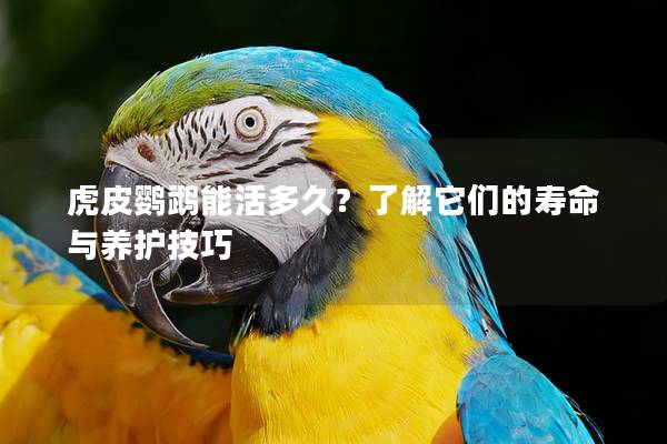虎皮鹦鹉能活多久？了解它们的寿命与养护技巧
