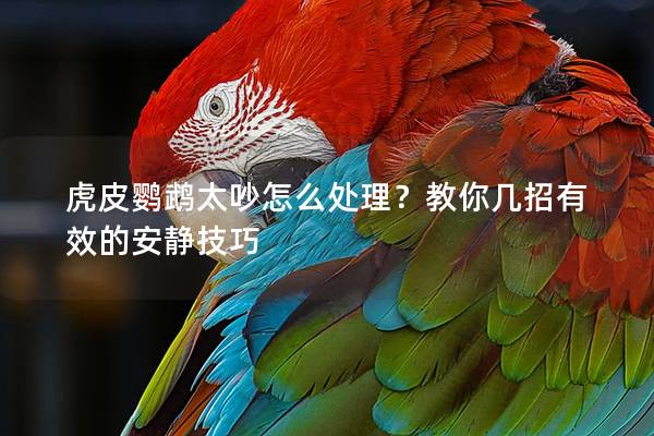 虎皮鹦鹉太吵怎么处理？教你几招有效的安静技巧