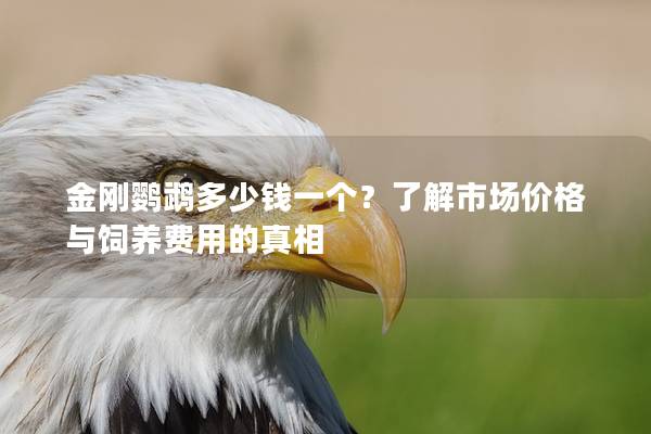 金刚鹦鹉多少钱一个？了解市场价格与饲养费用的真相