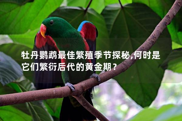 牡丹鹦鹉最佳繁殖季节探秘,何时是它们繁衍后代的黄金期？
