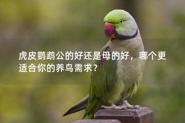 虎皮鹦鹉公的好还是母的好，哪个更适合你的养鸟需求？