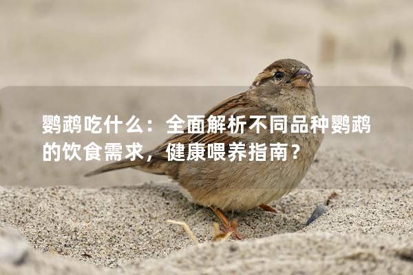 鹦鹉吃什么：全面解析不同品种鹦鹉的饮食需求，健康喂养指南？