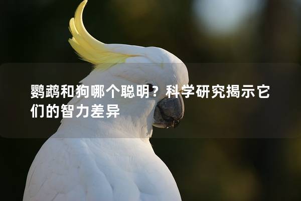 鹦鹉和狗哪个聪明？科学研究揭示它们的智力差异