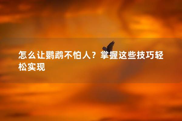 怎么让鹦鹉不怕人？掌握这些技巧轻松实现