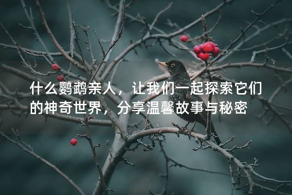 什么鹦鹉亲人，让我们一起探索它们的神奇世界，分享温馨故事与秘密