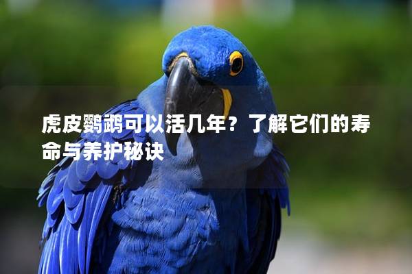 虎皮鹦鹉可以活几年？了解它们的寿命与养护秘诀