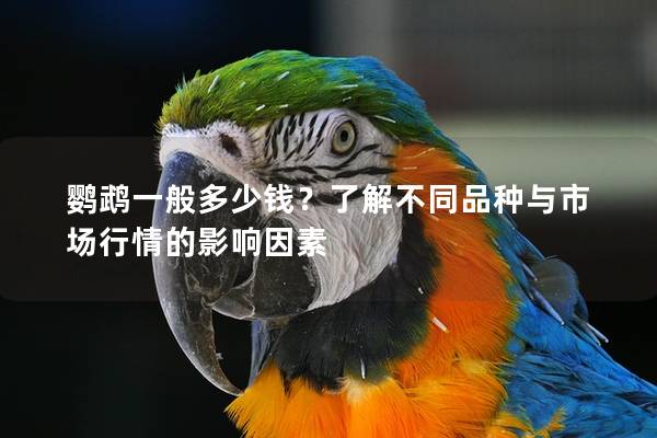 鹦鹉一般多少钱？了解不同品种与市场行情的影响因素