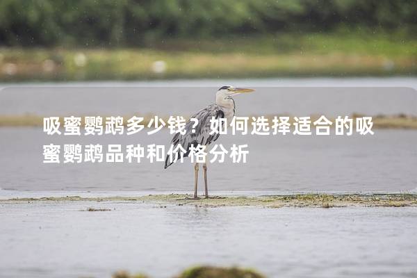 吸蜜鹦鹉多少钱？如何选择适合的吸蜜鹦鹉品种和价格分析