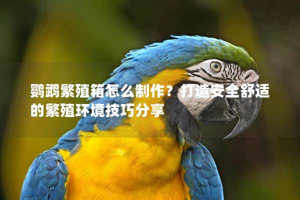 鹦鹉繁殖箱怎么制作？打造安全舒适的繁殖环境技巧分享