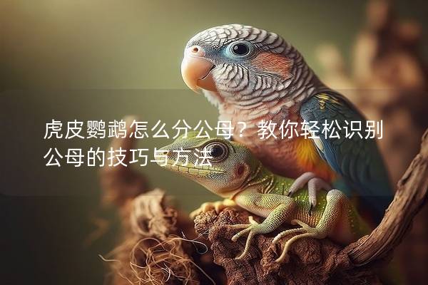 虎皮鹦鹉怎么分公母？教你轻松识别公母的技巧与方法