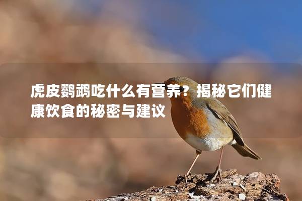 虎皮鹦鹉吃什么有营养？揭秘它们健康饮食的秘密与建议