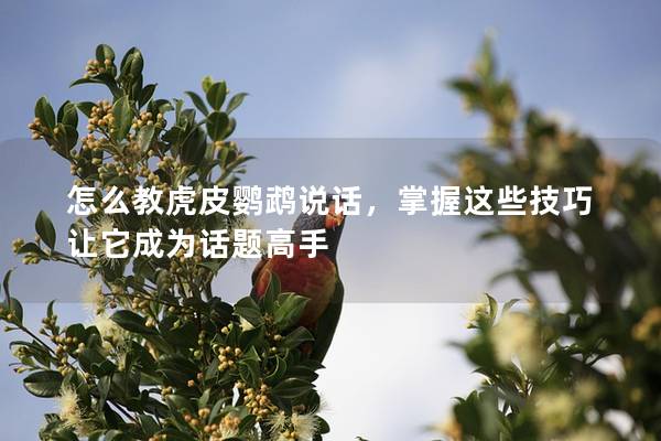 怎么教虎皮鹦鹉说话，掌握这些技巧让它成为话题高手