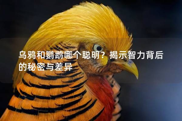 乌鸦和鹦鹉哪个聪明？揭示智力背后的秘密与差异