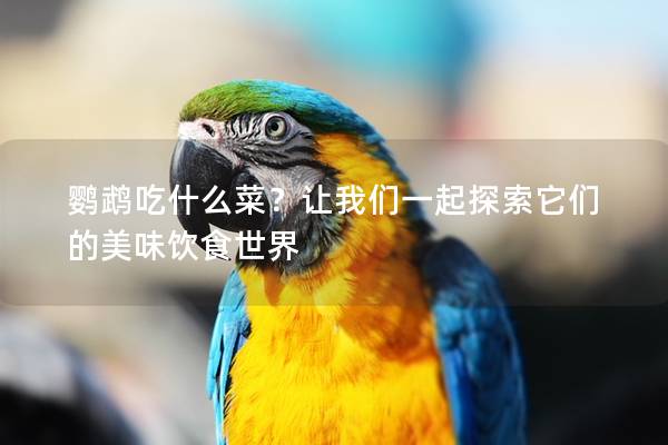 鹦鹉吃什么菜？让我们一起探索它们的美味饮食世界