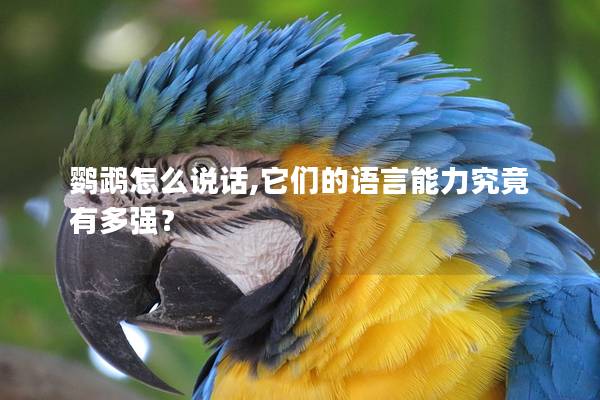 鹦鹉怎么说话,它们的语言能力究竟有多强？
