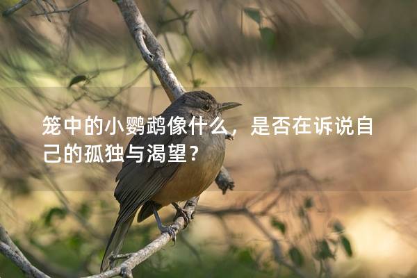 笼中的小鹦鹉像什么，是否在诉说自己的孤独与渴望？