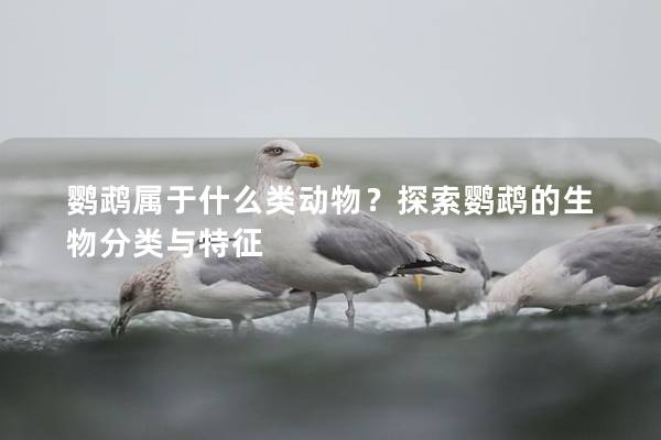 鹦鹉属于什么类动物？探索鹦鹉的生物分类与特征