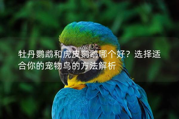 牡丹鹦鹉和虎皮鹦鹉哪个好？选择适合你的宠物鸟的方法解析