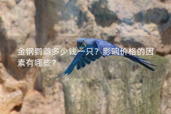 金钢鹦鹉多少钱一只？影响价格的因素有哪些？