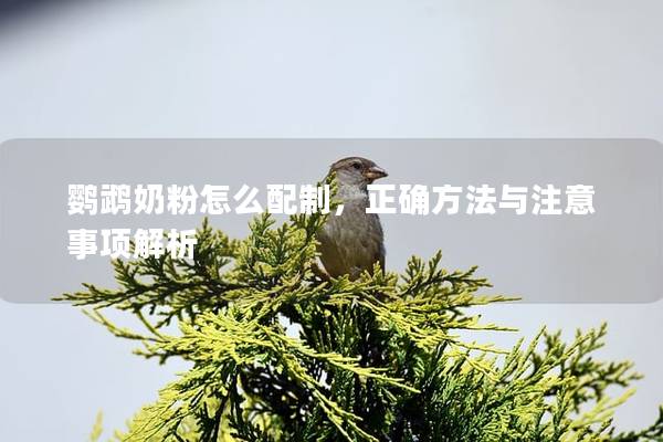 鹦鹉奶粉怎么配制，正确方法与注意事项解析