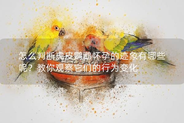 怎么判断虎皮鹦鹉怀孕的迹象有哪些呢？教你观察它们的行为变化