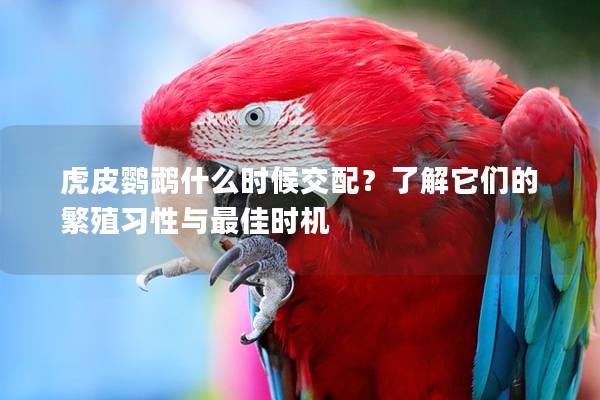 虎皮鹦鹉什么时候交配？了解它们的繁殖习性与最佳时机