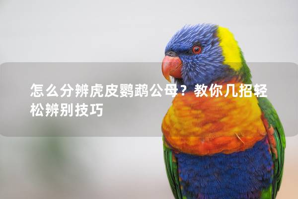 怎么分辨虎皮鹦鹉公母？教你几招轻松辨别技巧