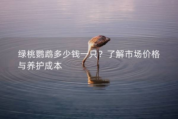 绿桃鹦鹉多少钱一只？了解市场价格与养护成本