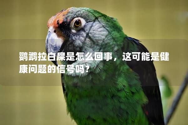鹦鹉拉白屎是怎么回事，这可能是健康问题的信号吗？