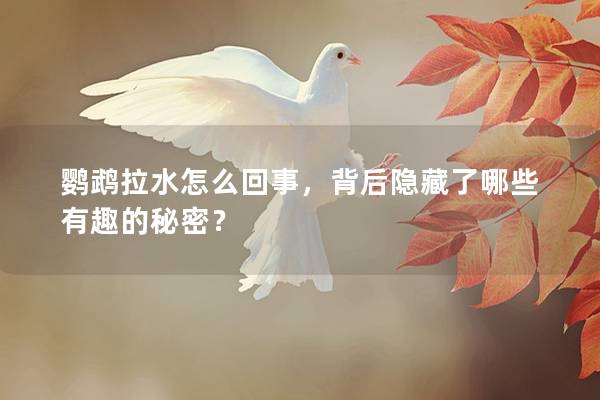 鹦鹉拉水怎么回事，背后隐藏了哪些有趣的秘密？