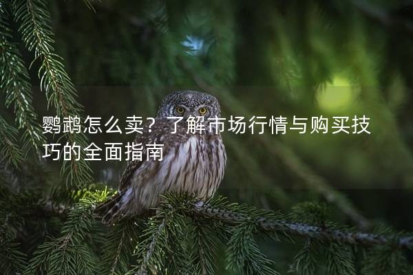 鹦鹉怎么卖？了解市场行情与购买技巧的全面指南