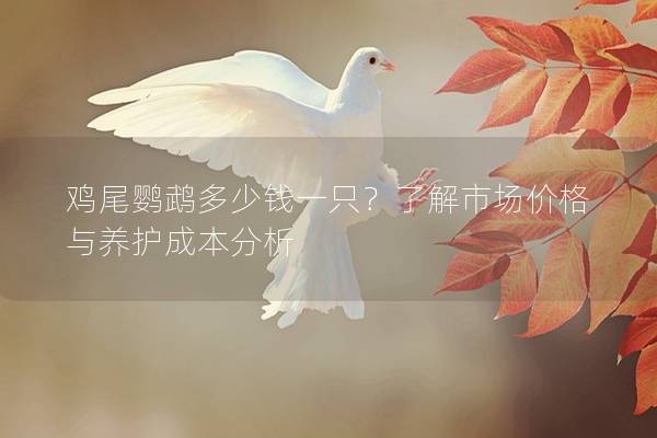 鸡尾鹦鹉多少钱一只？了解市场价格与养护成本分析