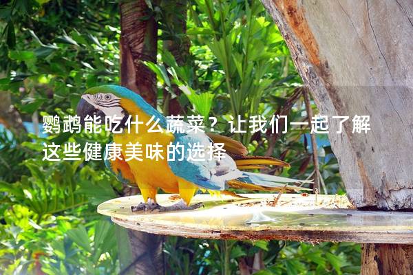 鹦鹉能吃什么蔬菜？让我们一起了解这些健康美味的选择