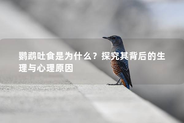 鹦鹉吐食是为什么？探究其背后的生理与心理原因