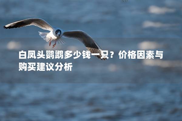 白凤头鹦鹉多少钱一只？价格因素与购买建议分析