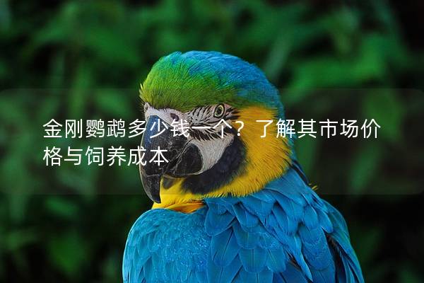 金刚鹦鹉多少钱一个？了解其市场价格与饲养成本