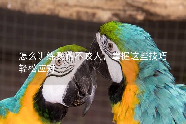 怎么训练鹦鹉不咬人，掌握这些技巧轻松应对